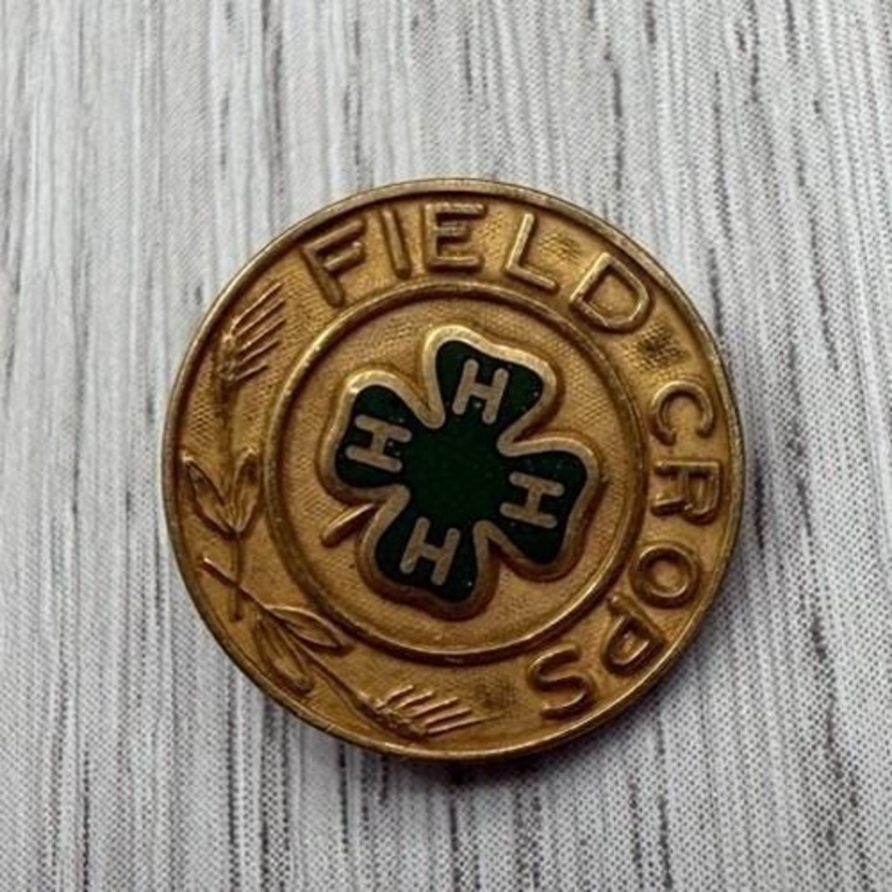 Vtg 4-H Club Pin Field Crops Achievement Button 4H Metal 1/20th 10k Gold Filled